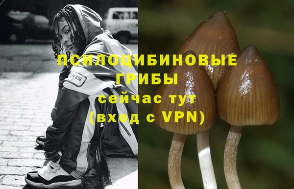 МДПВ Карталы