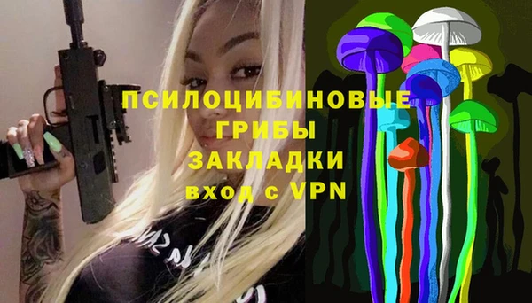 МДПВ Карталы