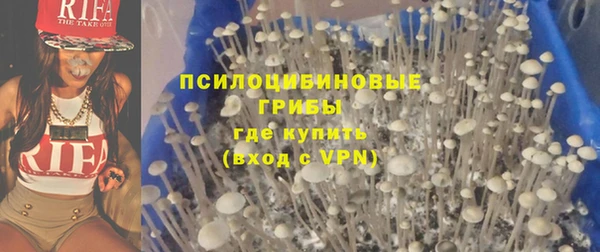 прущие крисы Касимов