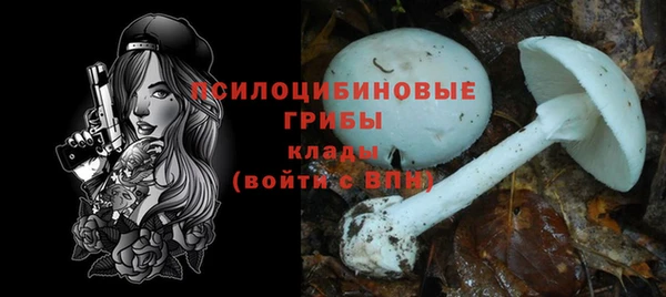 прущие крисы Касимов